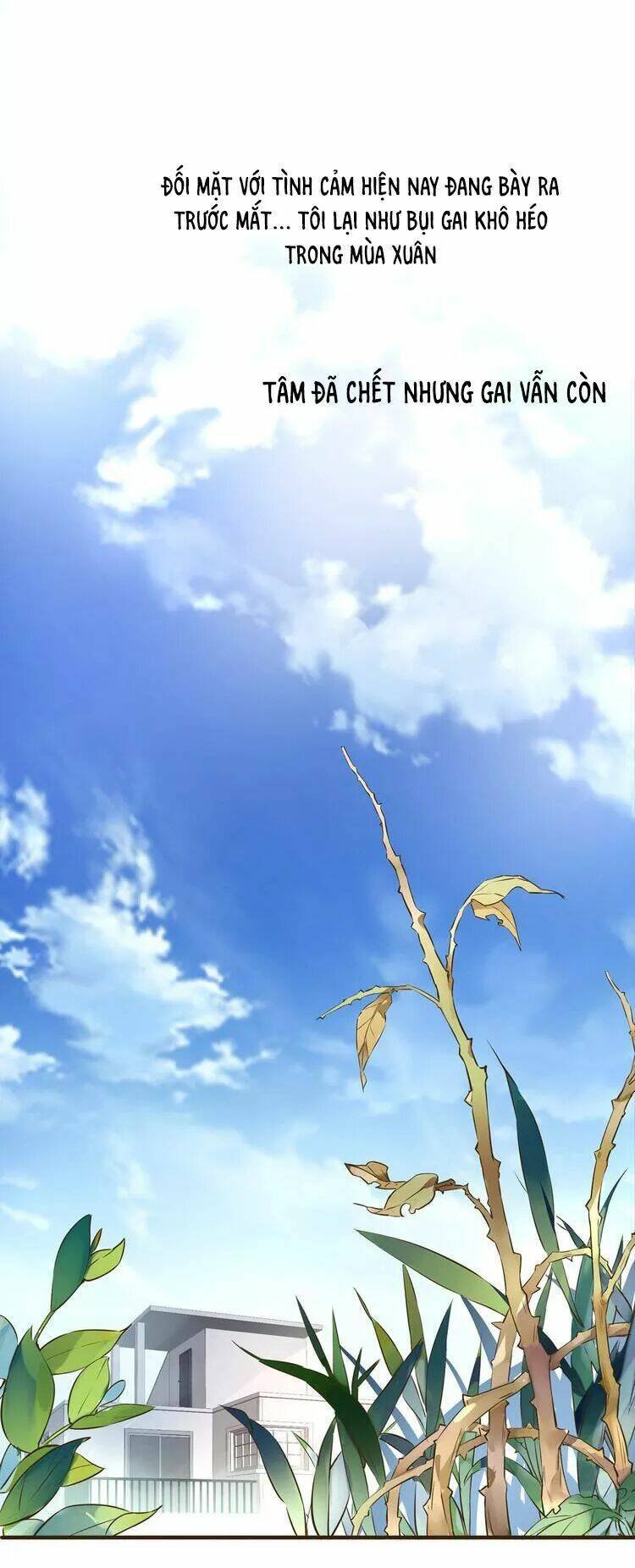 nở rộ trên bụi gai chapter 40 2