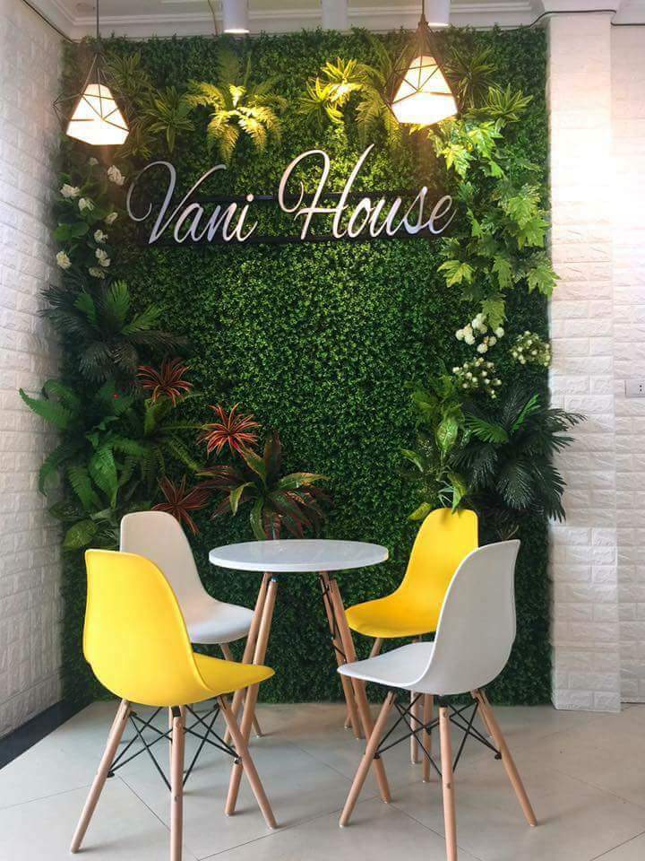Thảm cỏ xoong, tai chuột giả - Kích thước 40 x 60 cm - Cây giả, hoa lụa Decor trang trí nhà cửa