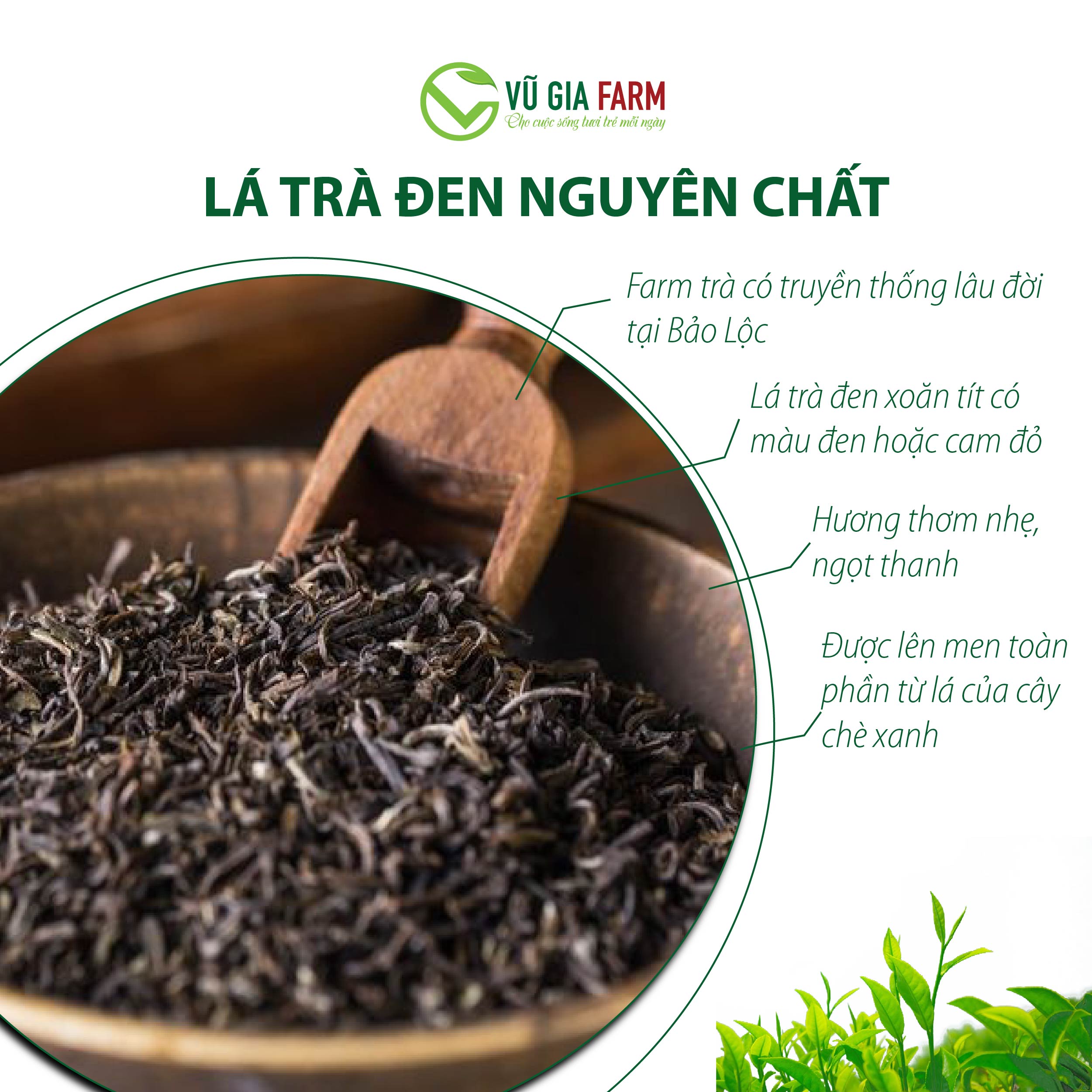 Hồng Trà ( Trà Đen) Cao Cấp Nguyên Chất Vũ Gia (200g/ hũ)