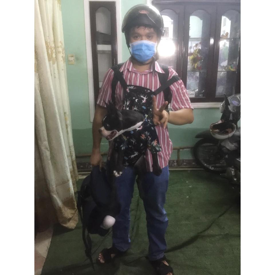 Địu cho Chó Mèo Đủ màu- Có size 2XL Địu Thú Cưng (Tự Chọn)