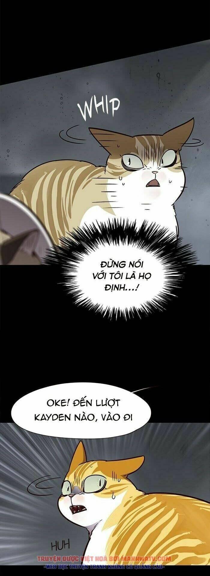 biến thân thành mèo chapter 56 8
