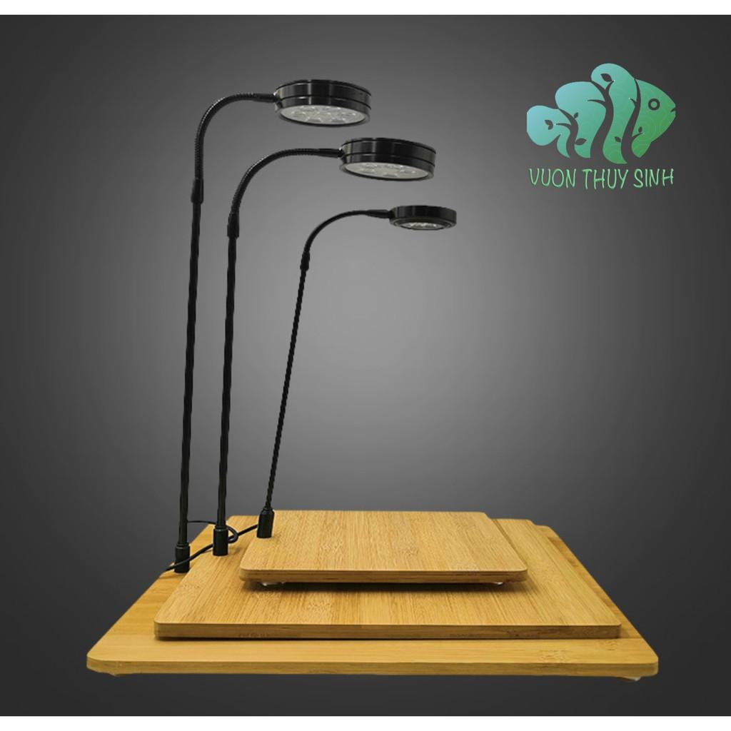 Đèn thuỷ sinh, tiểu cảnh mini đế gỗ