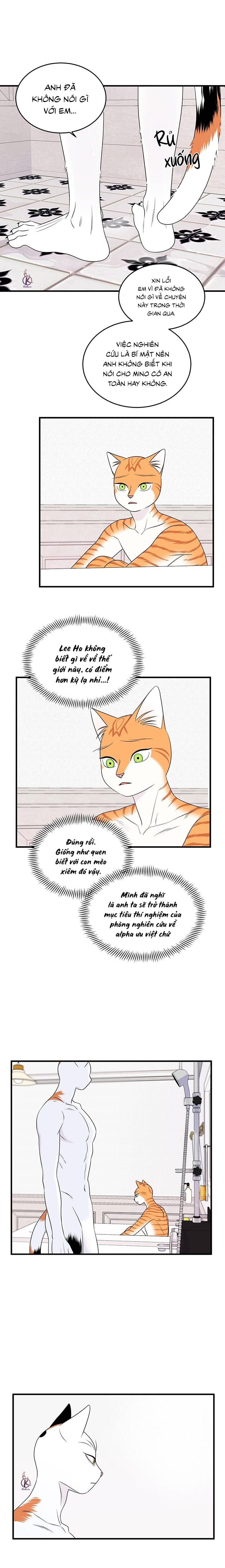 dự án xanh chapter 38 2