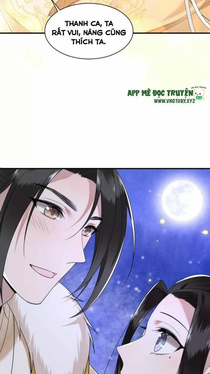 phượng hoàng vu phi chapter 78 31