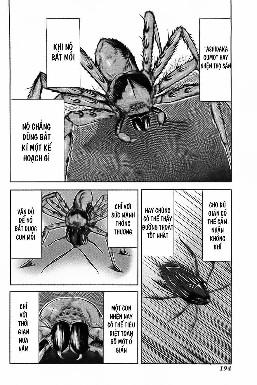arachnid chapter 10 22