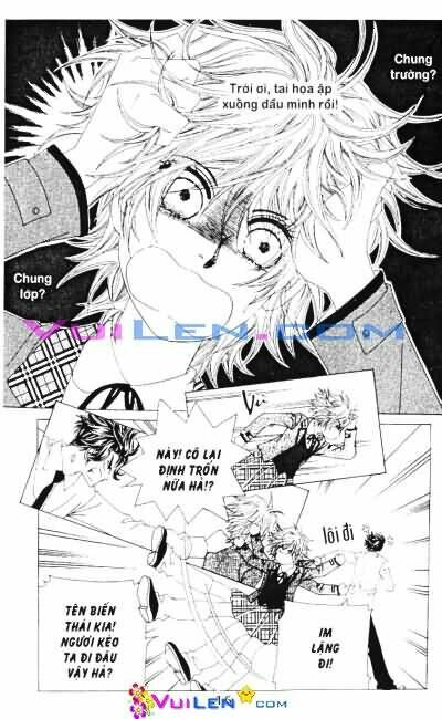 wait! wolf chapter 9 17