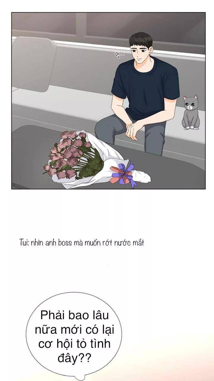 idol và sếp, em yêu ai? chapter 53 26