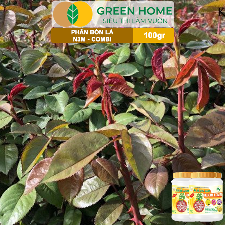 Phân Bón Lá Greenhome, N3M Combi, Hũ 100gr, Ra Rễ Cực Mạnh Dùng Giâm, Chiết Cành, Ngâm Hạt, Kiểng