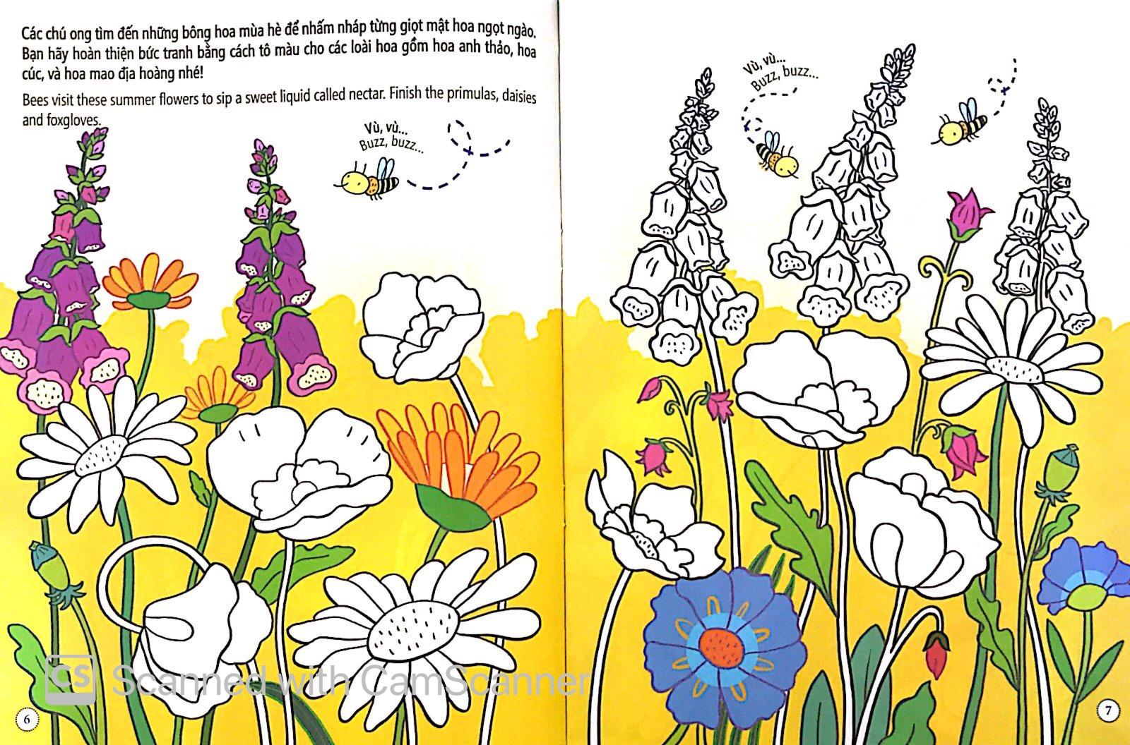 Tô Màu Bóc Dán - Khu Vườn - Garden