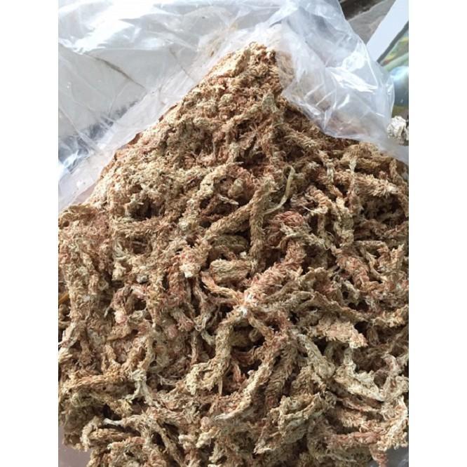 100g Rêu sâu Chile giữ ẩm cho lan