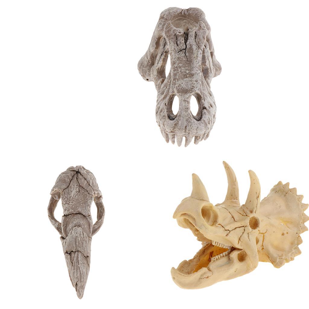 Reptile Vivarium Decoration Terrarium DIY Landscaping Skull