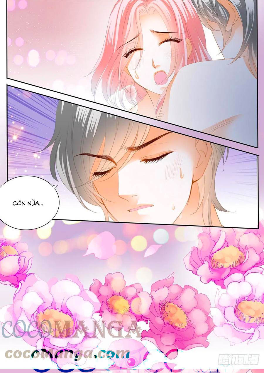 cuồng nhiệt boss, sủng thê xin kiềm chế chapter 127 7
