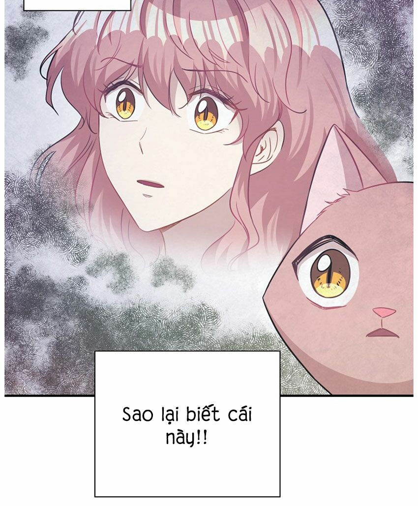 cuộc sống kỳ thú chapter 21 47