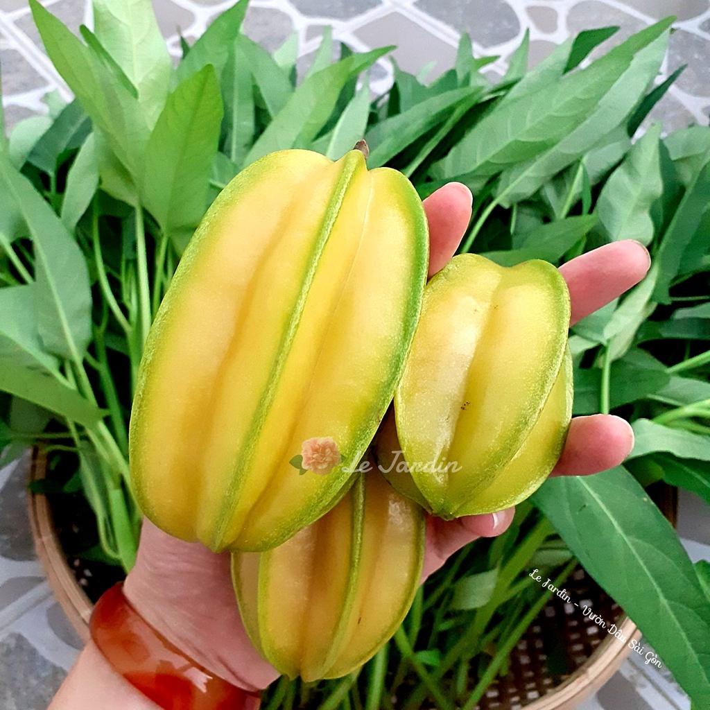 Phân trùn quế viên nén sfarm túi 1kg