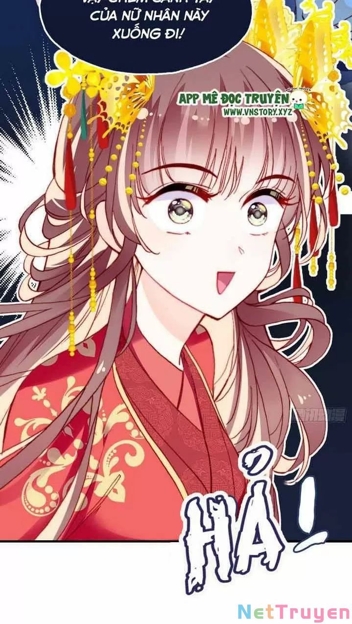 lại bị bệnh chiều chuộng quấn lấy chapter 6 9