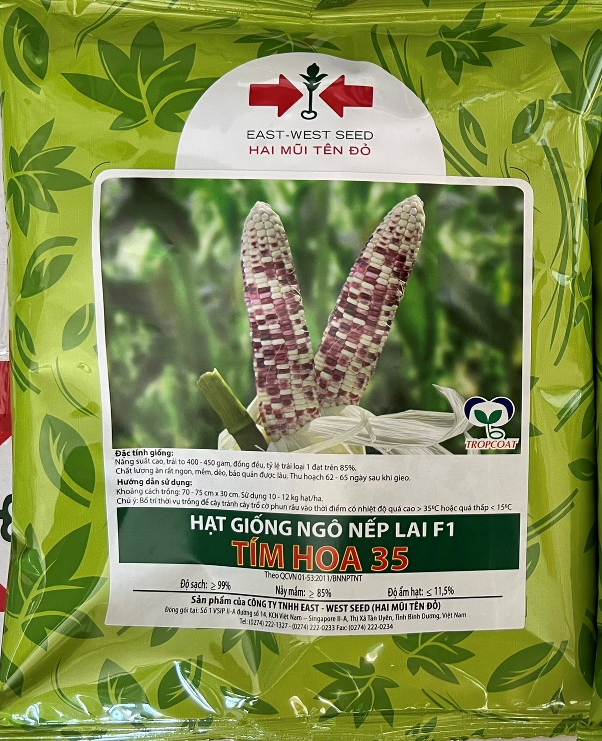 Hạt Giống Bắp Nếp lai F1 Tím Hoa 35