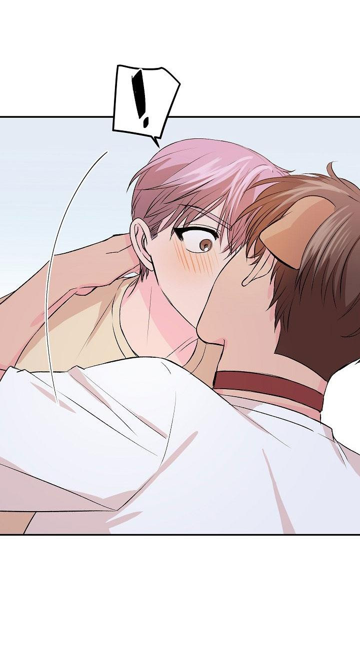 good dog , my boy chapter 4 49