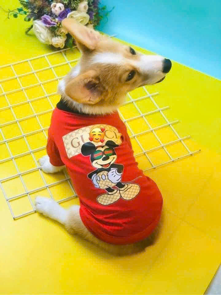 ÁO CUTE COOL NGẦU TỪ 1-20KG DÀNH CHO THÚ CƯNG CHÓ MÈO
