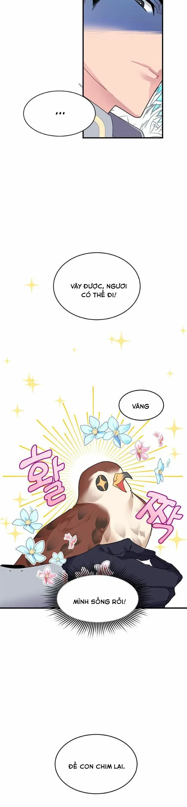 công chúa chim ưng cavier chapter 3.1 18