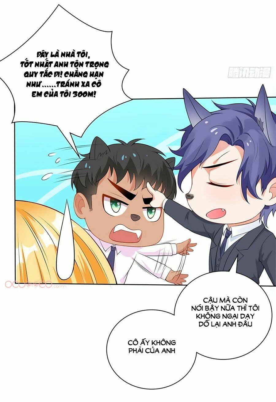 bộ váy rực rỡ ánh sao chapter 8 14