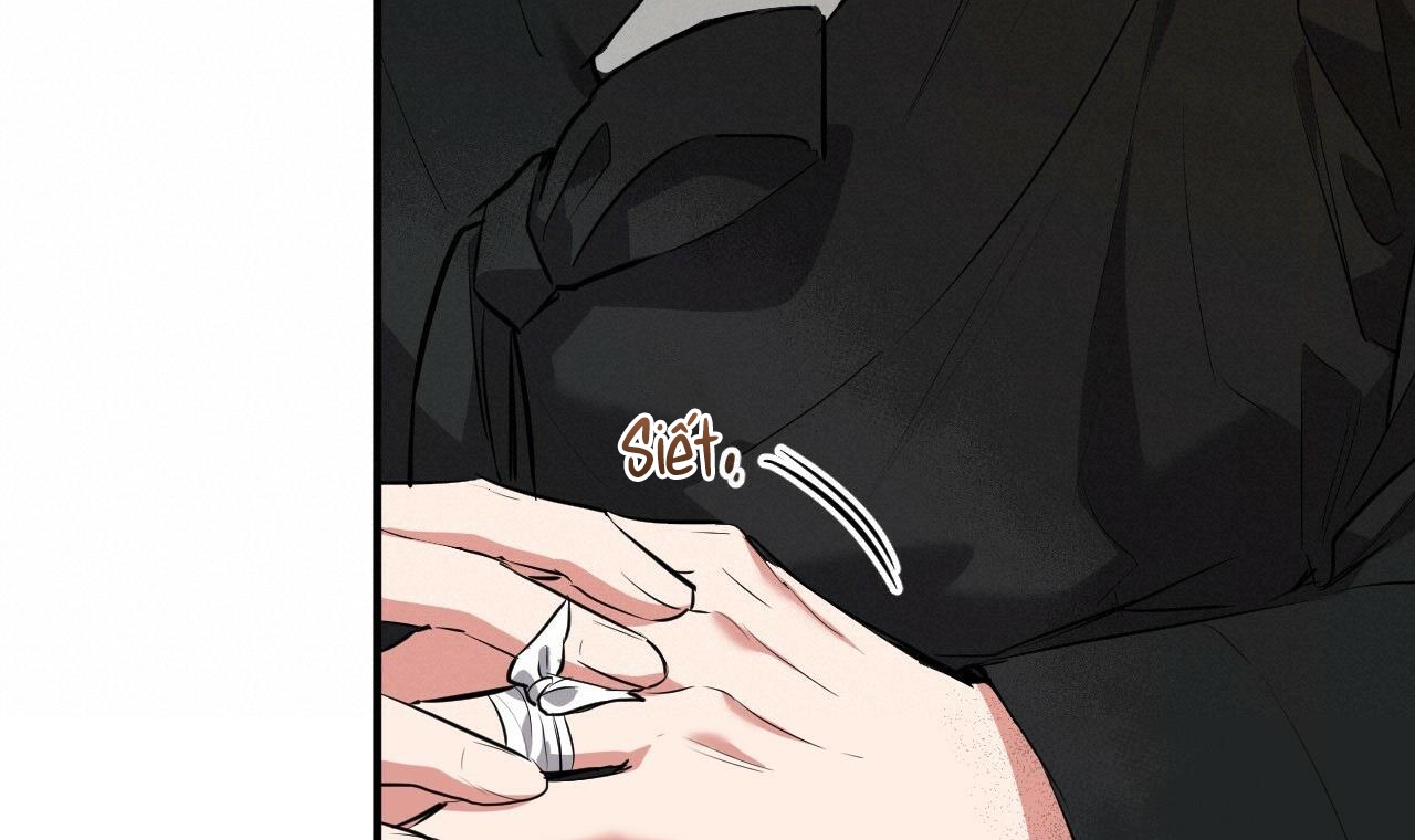 những chú thỏ của hapypy chapter 49 168