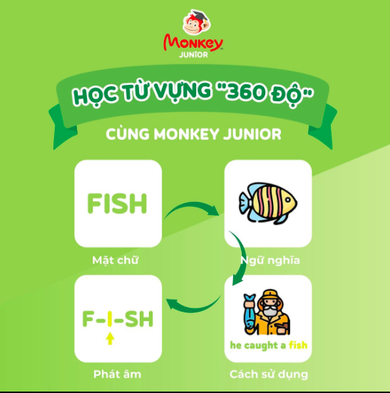 Monkey junior (Mã Giấy) Phần mềm học tiếng Anh cho bé 0 - 10 tuổi trên (Trọn đời, 4 năm, 2 năm, 1 năm)