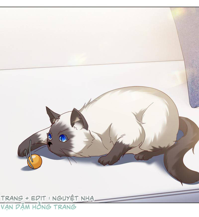 cô ấy đến rồi, xin nằm xuống! chapter 274 14