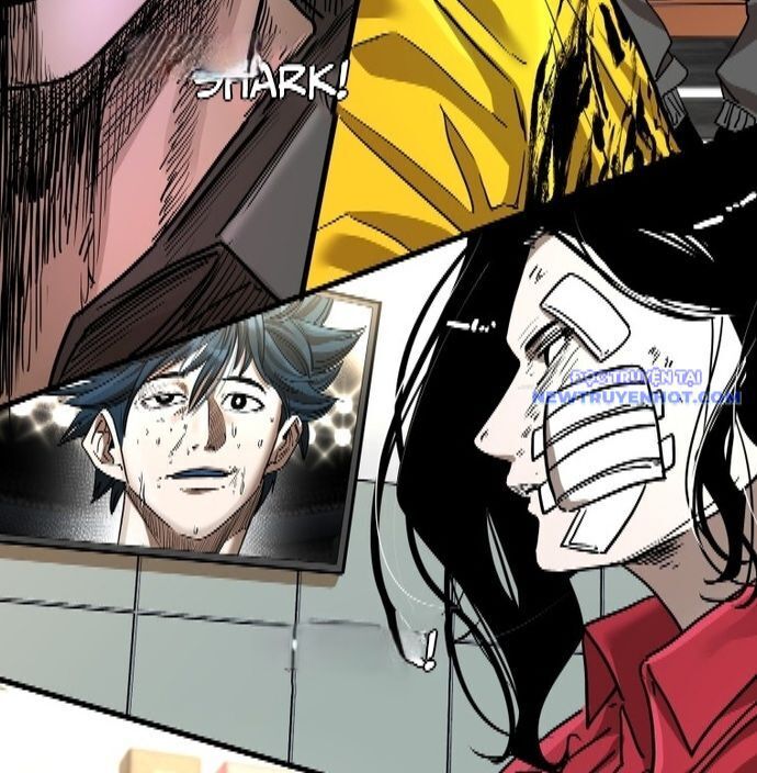 shark - cá mập chapter 341 51