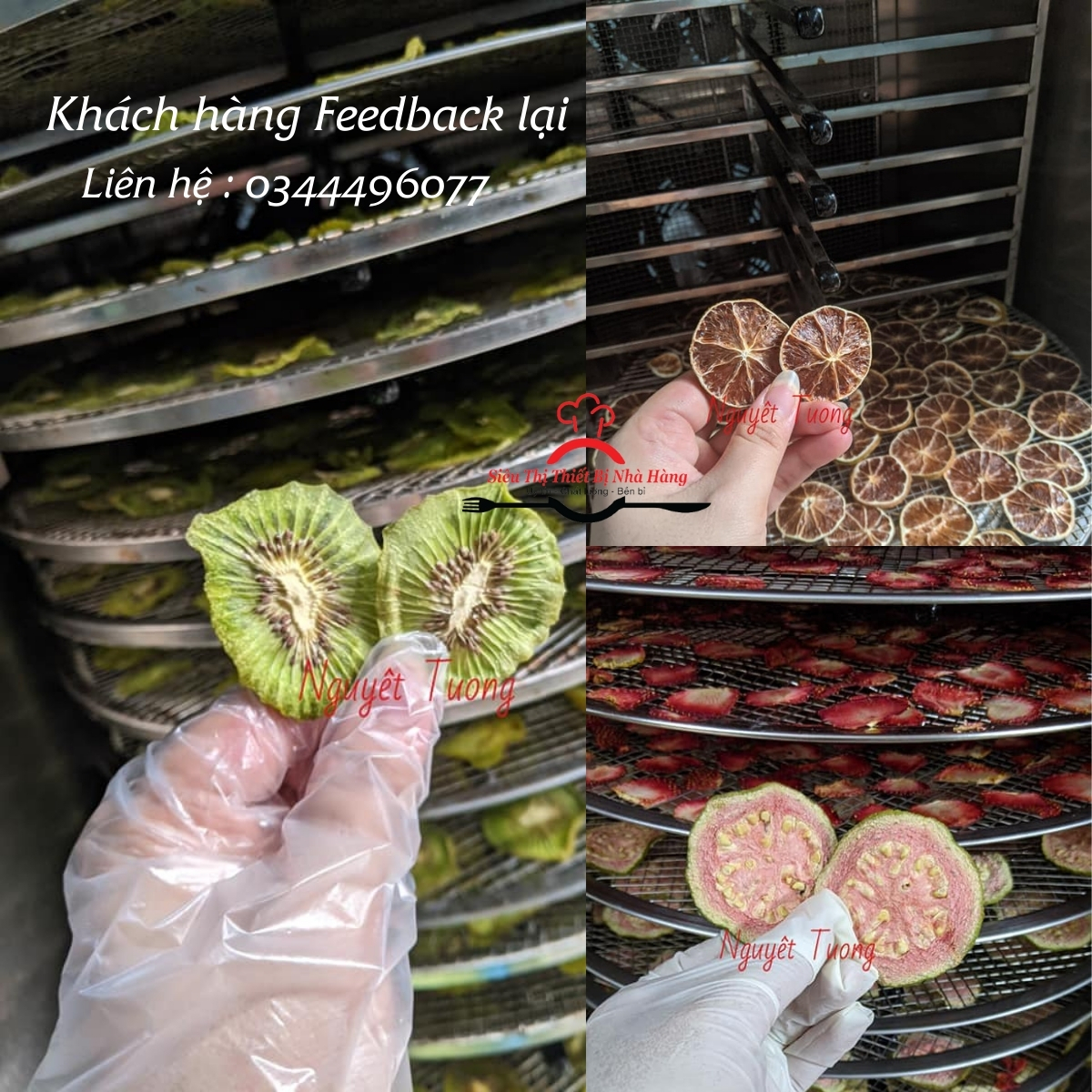 Máy sấy hoa quả, thực phẩm, hoa khô , dược liệu. Tủ sấy 16 khay trục xoay