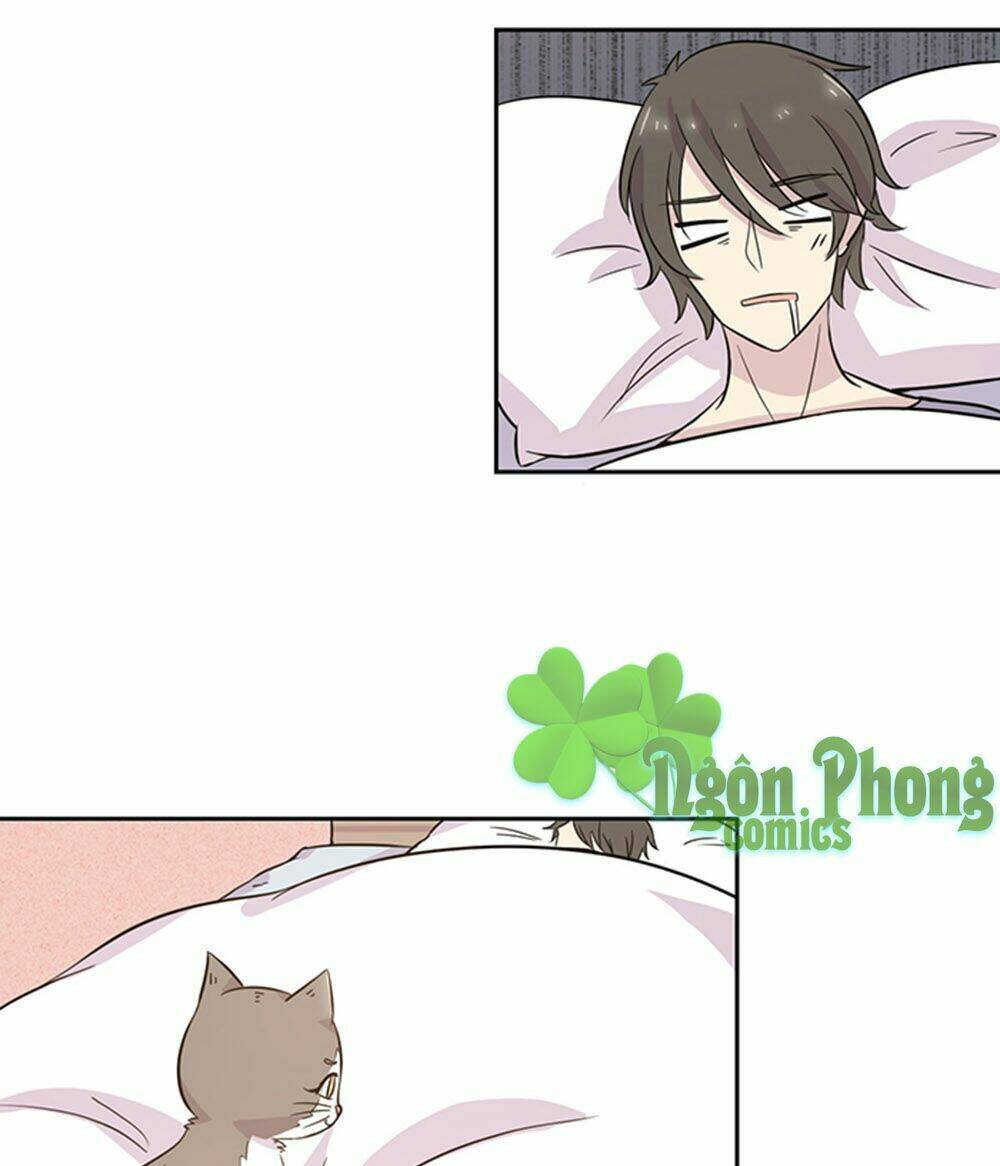 hai chú mèo totem chapter 19 9