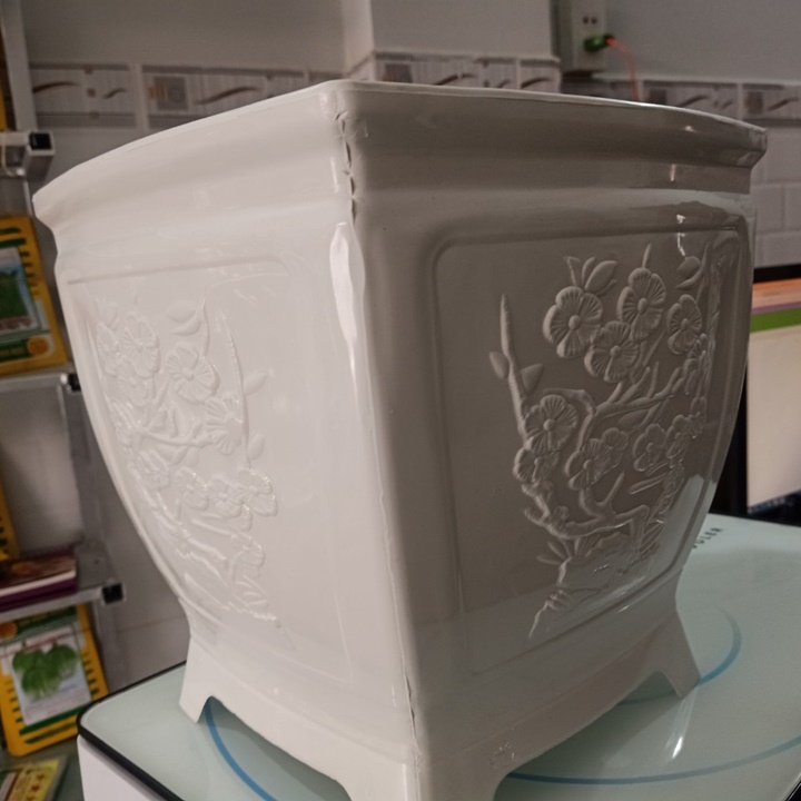 Chậu vuông hoa mai 280x270x205