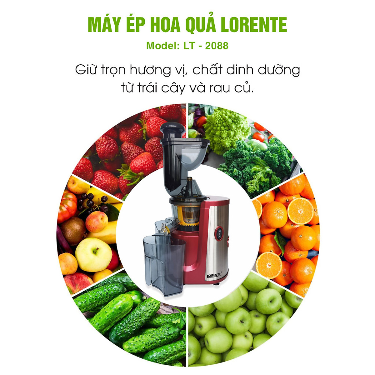 Máy Ép Chậm Lorente-Máy Ép Hoa Quả Lorente LT-2088, công suất 300W, ép nguyên chất kiệt nước-Hàng Chính Hãng