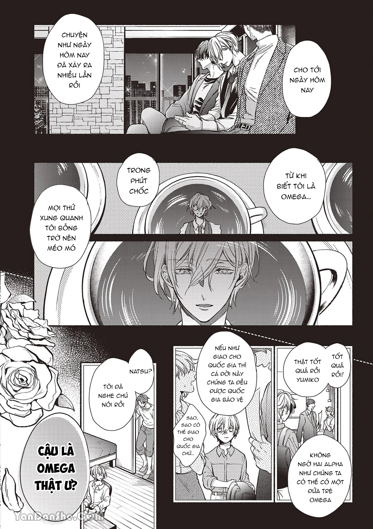omega mạnh mẽ là bạn đời của chúng tôi chapter 2 4