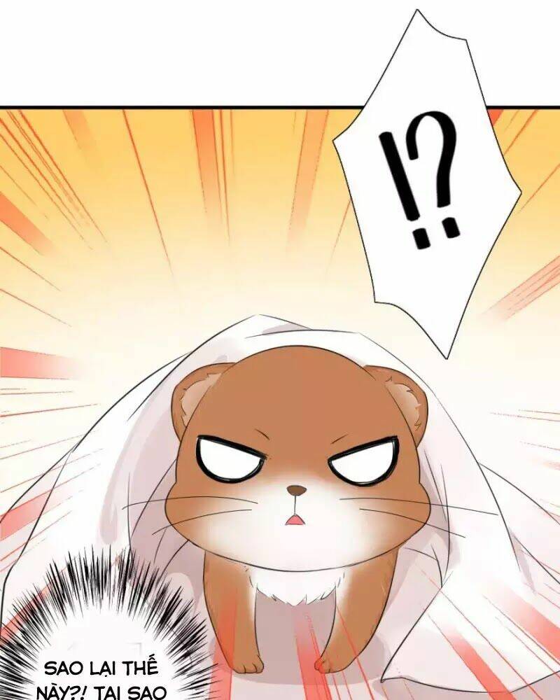 hành trình sủng đế cơ chapter 2 13