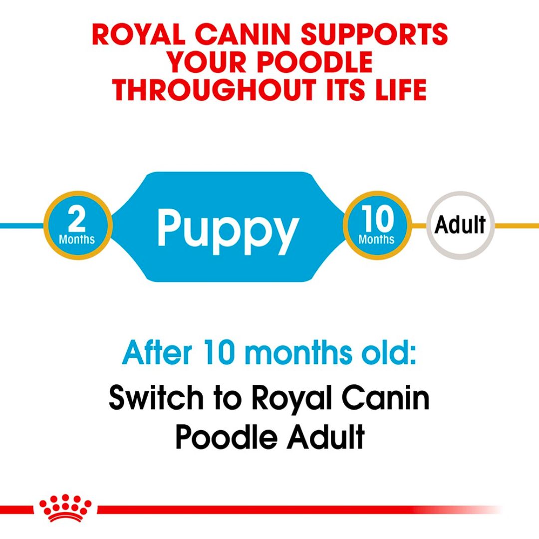 Thức Ăn Cho Chó Royal Canin Poodle Puppy - Chó Con