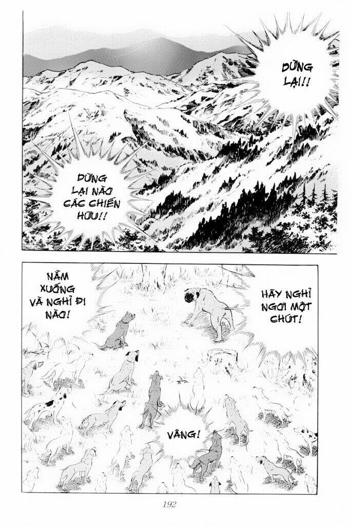 chú chó có nghĩa - ginga nagareboshi gin chapter 29 6