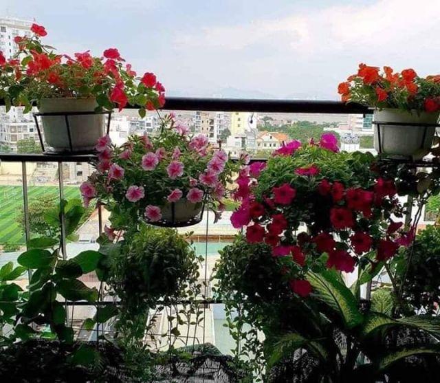 Giỏ treo hoa ban công