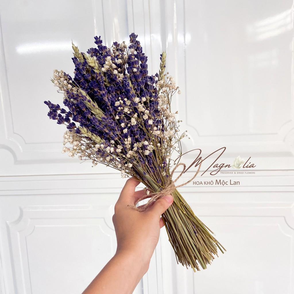 Hoa khô Decor nhà cửa ️️ Hoa Lúa mạch khô ITALY retro vinatge, trang trí cưới