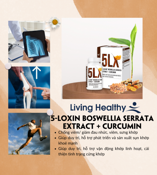 Viên uống bảo vệ khớp Living Healthy 5-Loxin Boswellia Serrata Extract + Curcumin, Hộp 60 viên
