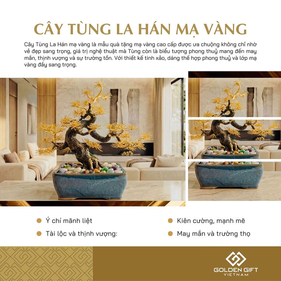 Cây Tùng La Hán mạ vàng