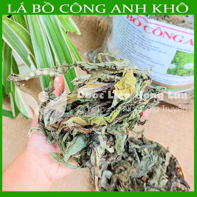 500g Cây Bồ Công Anh khô sạch