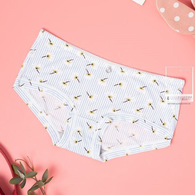 Bộ 10 Quần Lót Nữ Su Họa Tiết - Chất Vải Mềm Mịn Dịu Nhẹ Cho Da