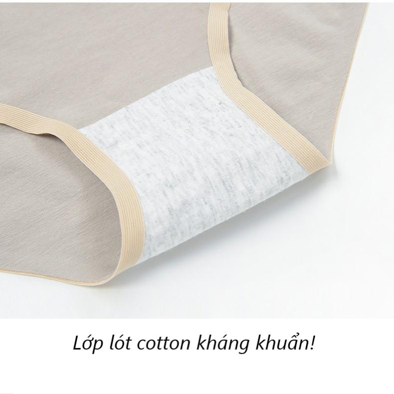 Quần lót nữ, quần lót cotton không viền kháng khuẩn Q/C079