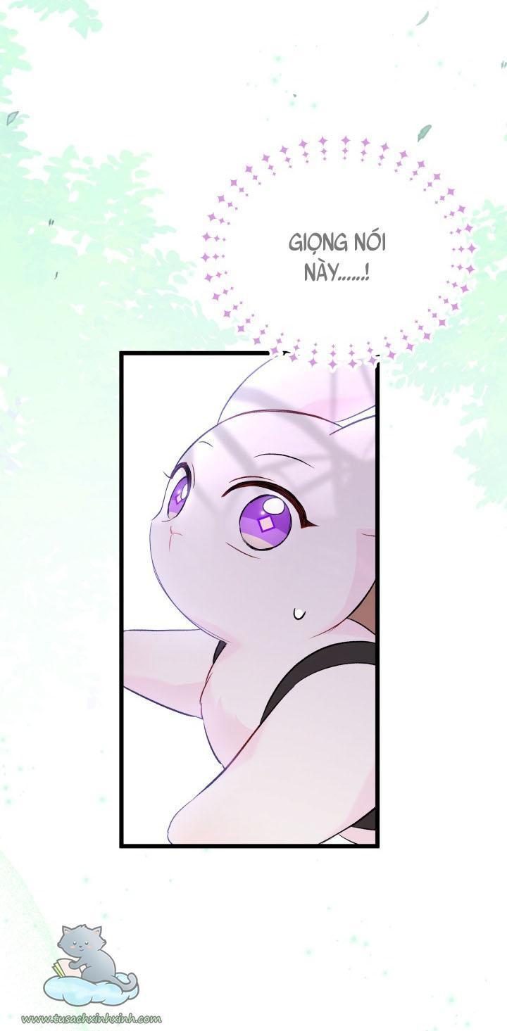 quan hệ cộng sinh giữa báo đen và thỏ trắng chapter 61 35