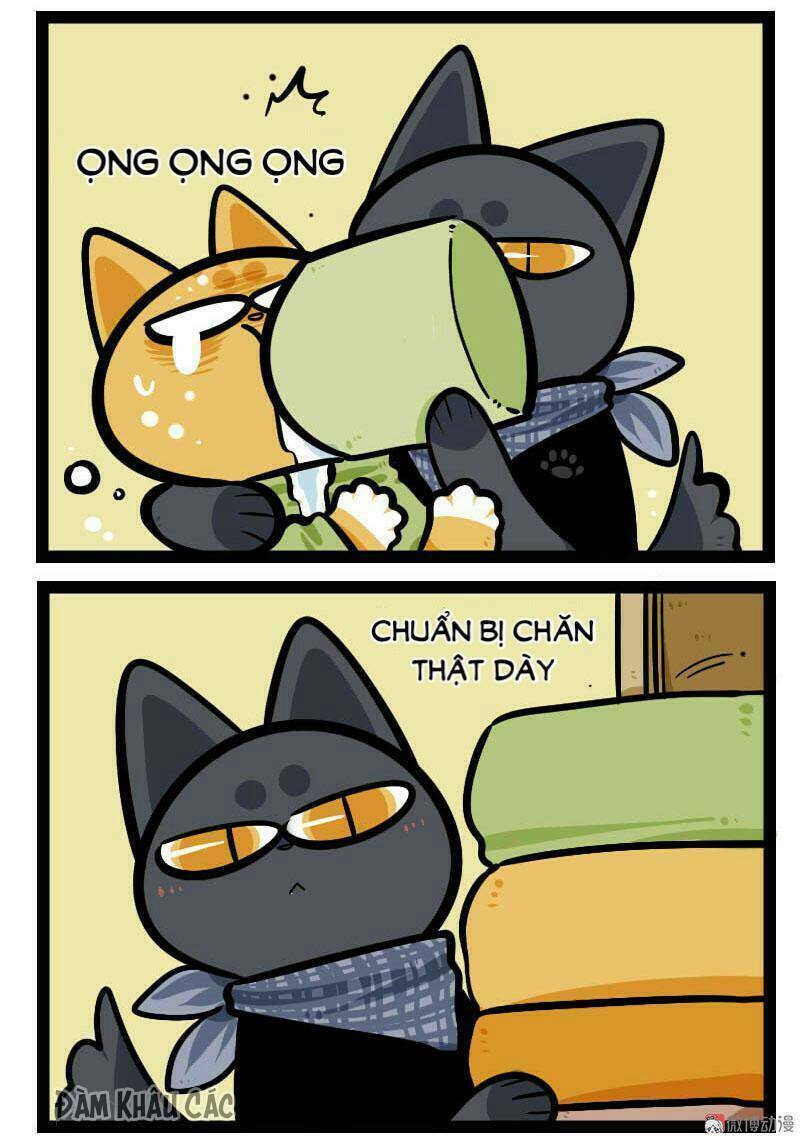 đời không như mình tưởng chapter 57 5