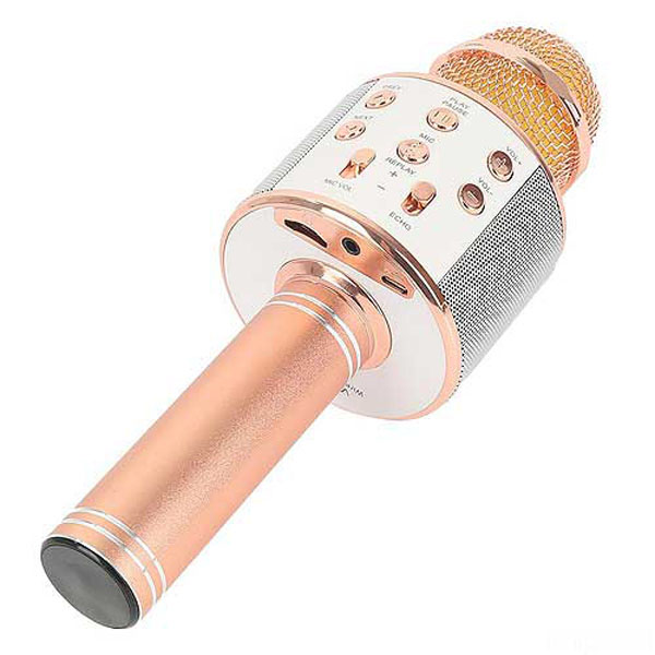 Mic Hát Karaoke Kèm Loa Bluetooth WS-858 Đa Năng