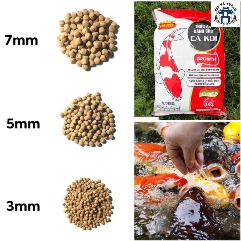 Cám Cá Koi King Feed Growth 42% Đạm Túi 100Gram - Thức Ăn Giúp Tăng Trưởng Cho Cá Koi