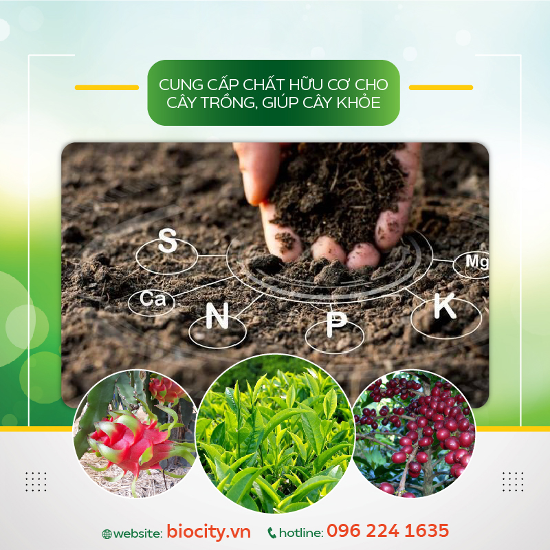 Chế phẩm sinh học giúp phục hồi đất nhiễm mặn, nâng pH đất - Fresh Soil 500ml