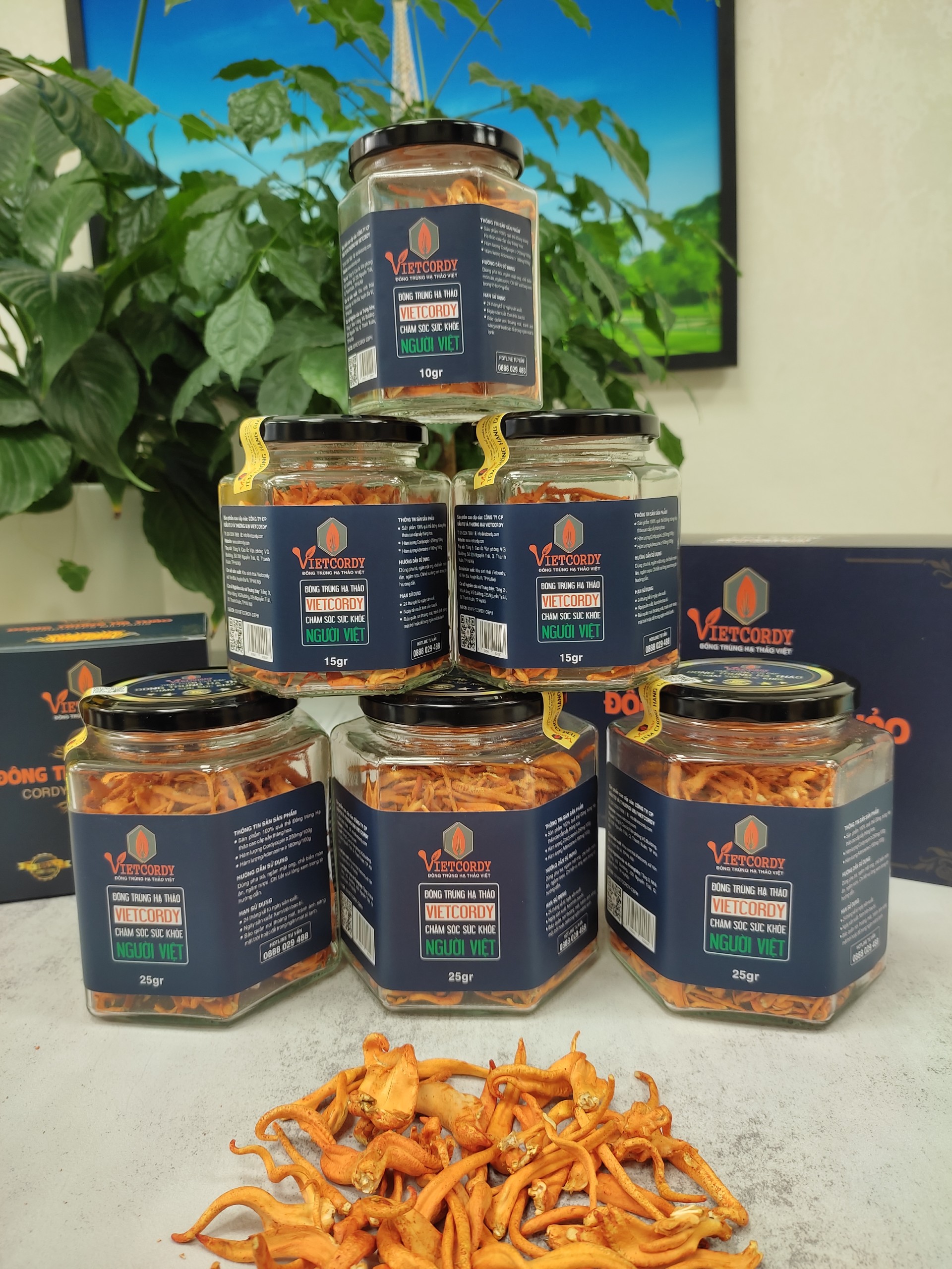 HÈ SÔI ĐỘNG ( MUA 3 HŨ *15GR TẶNG NGAY 1 HŨ 15GR CÙNG LOẠI )