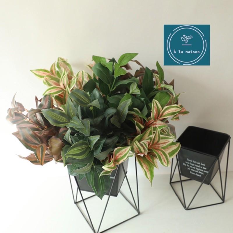 Cụm lá Peperomia cao 36cm bằng lụa dùng decor trang trí không gian sinh động tươi tắn, hoa event